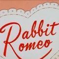 Photo Rabbit Romeo