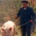 Photo Le Cochon de Gaston