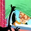 Photo Draftee Daffy
