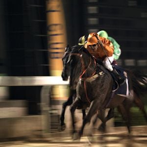 Photo Charles de Meaux