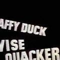 Photo Wise Quackers