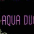 Photo Aqua Duck