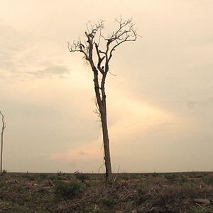 Photo Patrick Rouxel