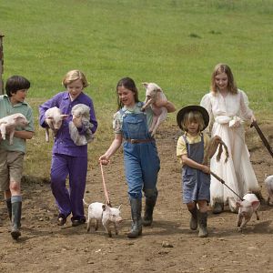 Photo Rosie Taylor-Ritson