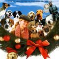 Photo 12 chiens pour Noël (TV)