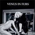 Photo Venus in Furs