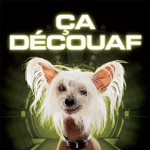 Photo Comme chiens et chats - La Revanche de Kitty Galore