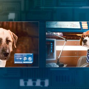 Photo Comme chiens et chats - La Revanche de Kitty Galore