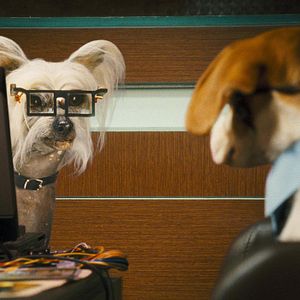 Photo Comme chiens et chats - La Revanche de Kitty Galore