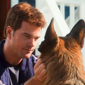 Photo Comme chiens et chats - La Revanche de Kitty Galore