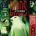 Photo Birds of the World: The Master Builders