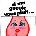 Photo Si ma gueule vous plaît...