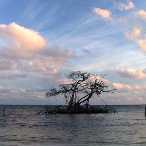 Photo Pedro Gonzalez-Rubio