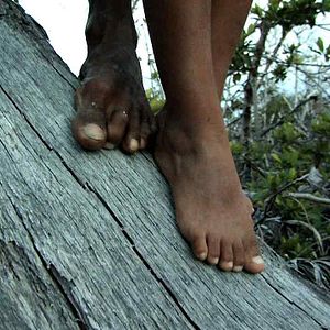 Photo Pedro Gonzalez-Rubio