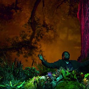 Photo My Own Love Song