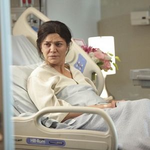 Photo Shohreh Aghdashloo