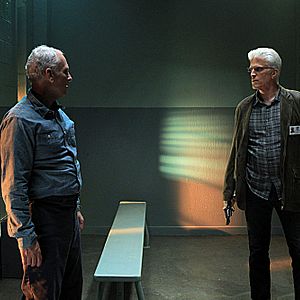 Photo Ted Danson