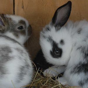 Photo Frédéric Goupil