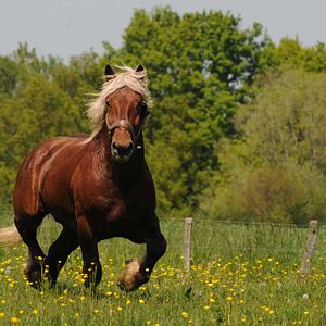 Photo Frédéric Goupil