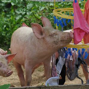 Photo Frédéric Goupil