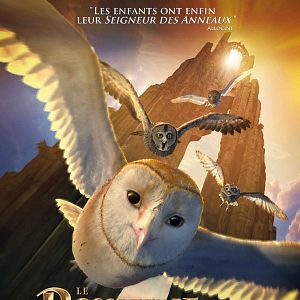 Photo Le Royaume de Ga'Hoole - la légende des gardiens