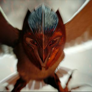 Photo Le Royaume de Ga'Hoole - la légende des gardiens