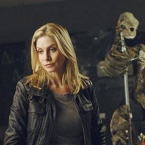 Photo V (2009)