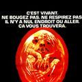 Photo Le Monstre