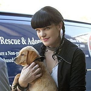 Photo Pauley Perrette