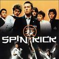 Photo Spin Kick