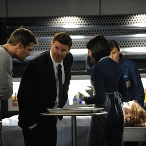Photo Bones