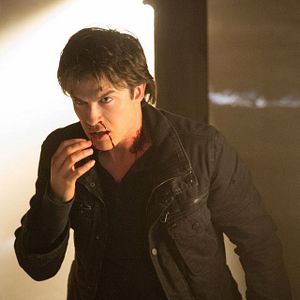 Photo Ian Somerhalder