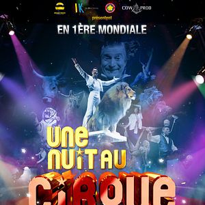 Photo Une nuit au cirque 3D