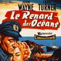 Photo Le Renard des Océans