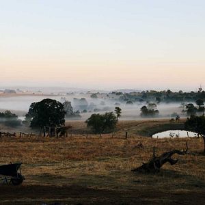 Photo Julie Bertuccelli