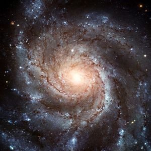 Photo Patricio Guzmán