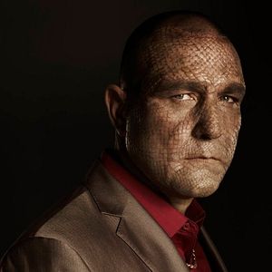 Photo Vinnie Jones