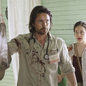 Photo Martin Henderson