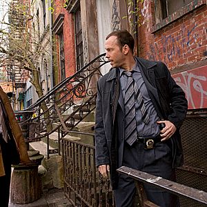 Photo Flex Alexander