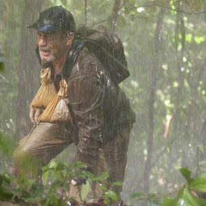 Photo 600 kilos d'or pur