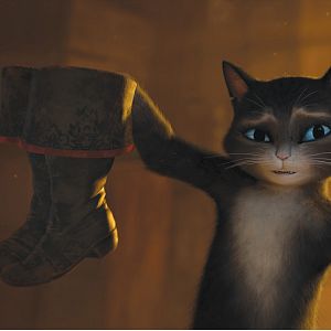Photo Le Chat Potté