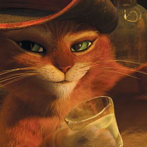 Photo Le Chat Potté