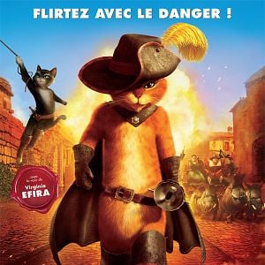 Photo Le Chat Potté