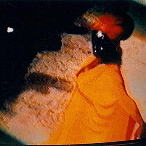 Photo Vincent Navarro