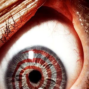 Photo Kevin Greutert