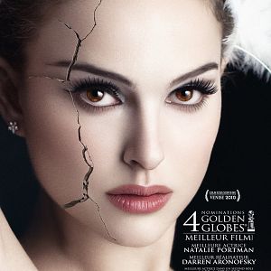 Photo Black Swan