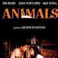 Photo Animals