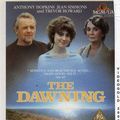 Photo The Dawning