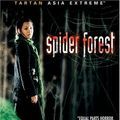 Photo Spider Forest