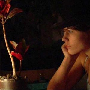 Photo Attilio Azzola